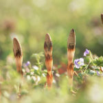 北九州で遺品整理をお考えの方