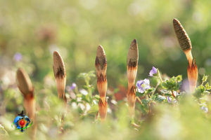 北九州で遺品整理をお考えの方