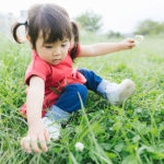 雑草のお悩みは今のうちに