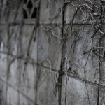 ブロック塀の危険