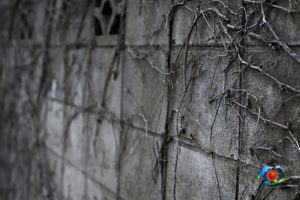 ブロック塀の危険